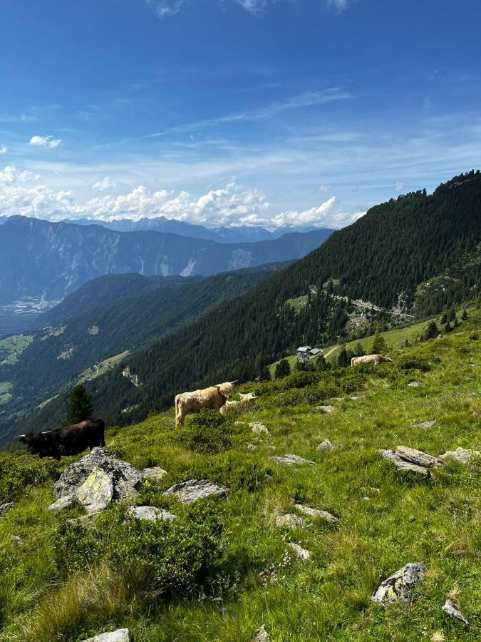 Die Acherberg Alm Oetz Exterior foto